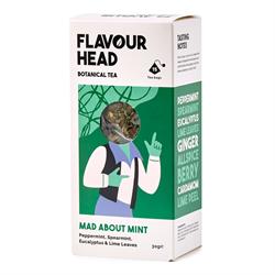 Flavour Head Flavour Head Botanical Infusions Mad About Mint Tea 15's