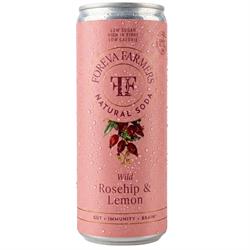 Foreva Farmers FOREVA FARMERS. ROSEHIP & LEMON PREBIOTIC SODA. 250ML.