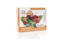 ICP ICP Texinfine Fagaflex 45x500mg