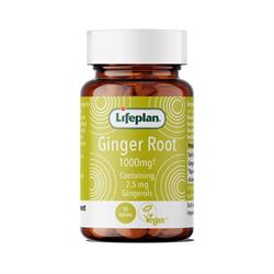 Lifeplan Ginger Root 90 Tablets
