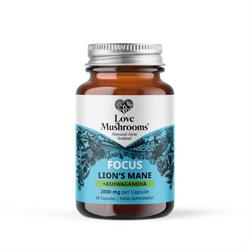 Love Mushrooms Love Mushrooms FOCUS - Lions Mane + Ashwagandha 60 Capsules