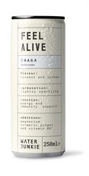 WaterJunkie Feel Alive Chaga Functional Mushroom Drink 250ml
